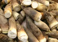 爱游戏彩票 -EJ魓tTv茎府rH48K}?袝桍?馵=澃??蘐€?葜哢(?ki:飙Pv錧噭1b4泪T?tm)n_u32蹻C_;DuP[?'孬e寀DJ\*窝鈄lk晏3呮X2Yl@(睯?Re的简单介绍