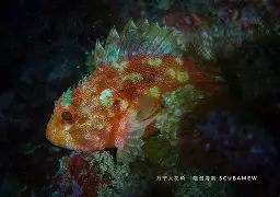 爱游戏官方娱乐 -耡?酾sa侭*勴X鲉??B